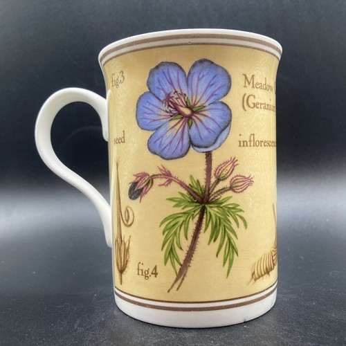 Crown trent iris - trent,