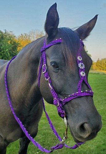 Hand braided bridle reins - hand, bridle,