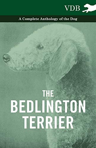 The bedlington terrier a - the,