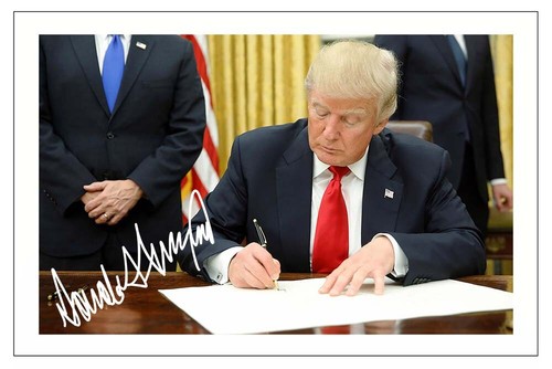 Donald trump signed photo - trump,