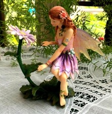 MUNRO FAERIE GLEN - ASTERIA