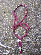 Purple/Burgundy Monty Roberts