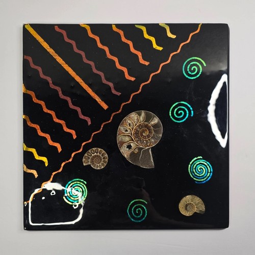 Ammonite fossil wall - fossil,