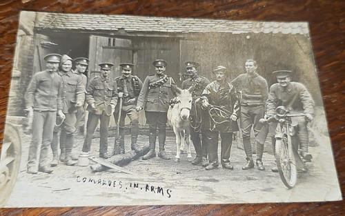 Ww1 king edward horse - king, edward’s