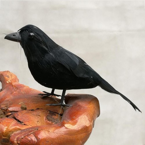 Crows lifesize handmade - -,