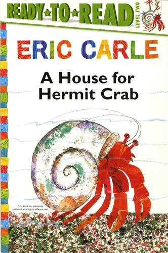 House for hermit crab - for,