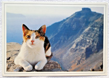 GREECE,   CAT  and  scenic view   used,   not posted
