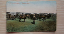 Company york royal - company,