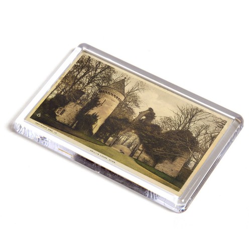 Fridge magnet vintage - magnet,
