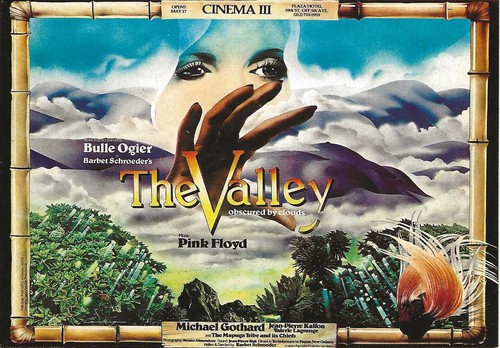 The valley barbet - valley",