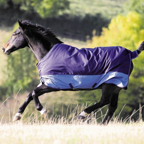 Shires tempest light medium - shires,