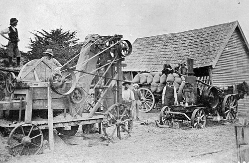 Hornsby oil engine chaff - hornsby, &