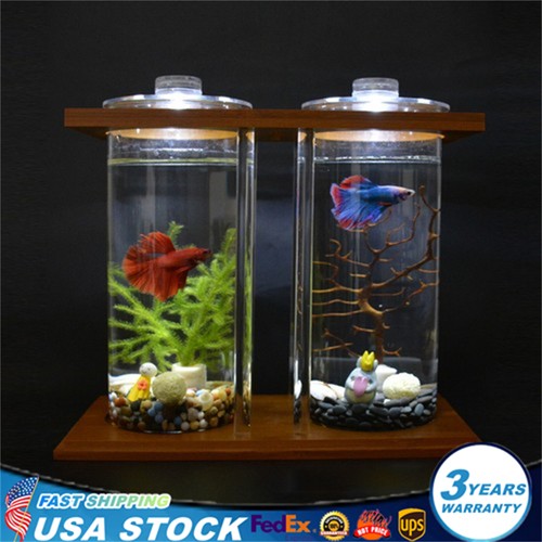 Dual glass desktop fish tank - dual,