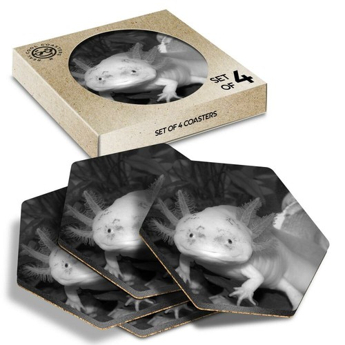 Hexagon coasters bw - coasters,
