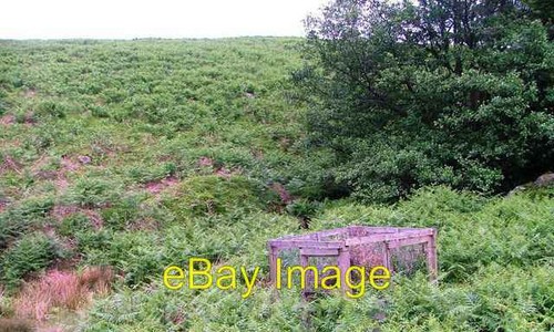 Photo 6x4 disused larsen - 6x4, trap