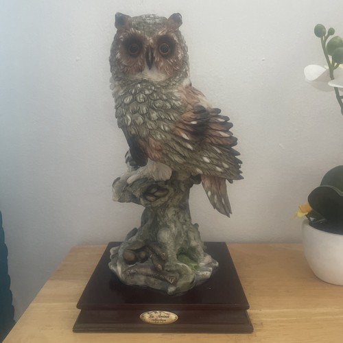 Beautiful wise owl anina - wise,