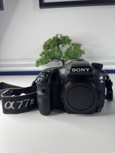 Sony alpha a77 2mp - alpha,