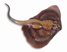 Hand Painted 14" Stingray Fish