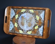 Vintage 1940 Brazilian Butterfly & Inlaid Wooden Tray