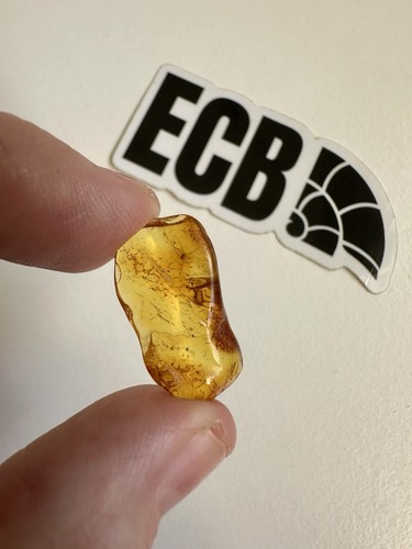 Baltic amber scrap 11g - baltic,