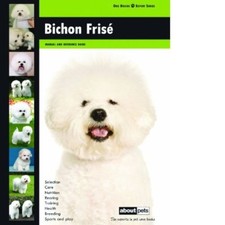 Bichon Frise: Dog Breed Expert