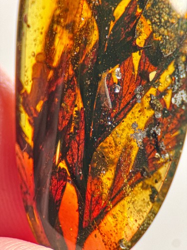 Stunning leaves inclusion - leaves,