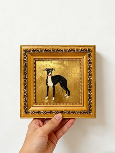 Black white whippet dog - black,