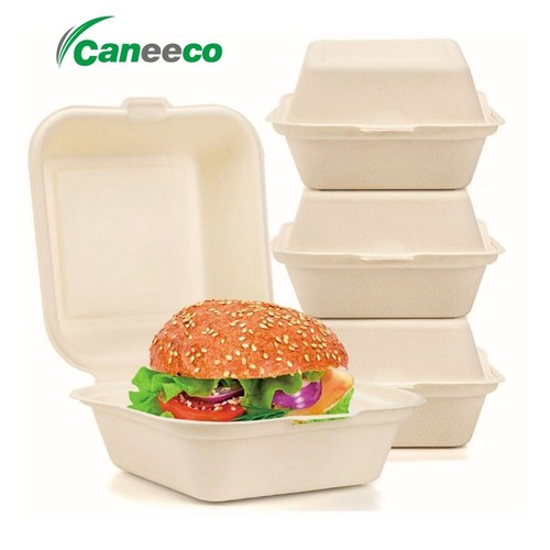 50x 6x6 bagasse burger - 50x,