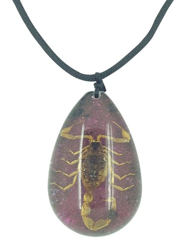 Real scorpion purple - scorpion, black
