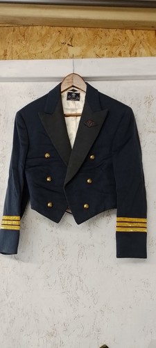 Vintage raf wing commander - raf,