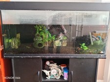 Rio Juwel fish tank with cabinet & accessories 