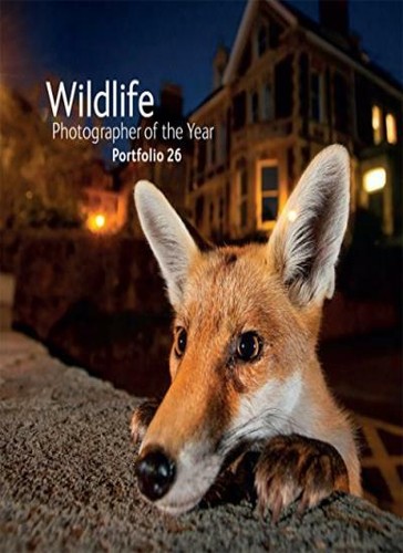 Wildlife photographer the - of,