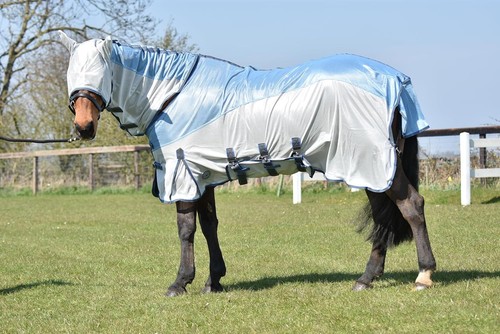 Horse fly rug combo all - combo,