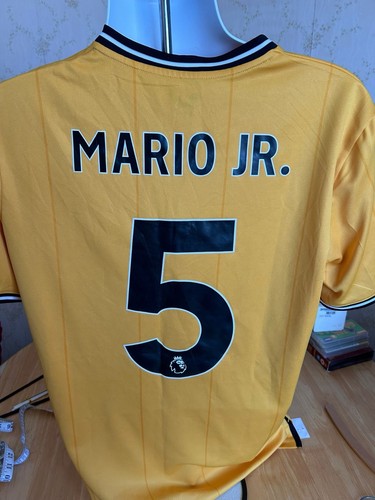 Wolverhampton wanderers - wolverhampton,