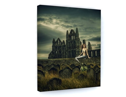 Mermaid fantasy canvas picture - fantasy,