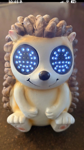 Hedgehog solar digital - , /