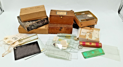 Victorian microscope slides - victorian,