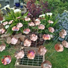 Pure copper poppy flower heads - flower,