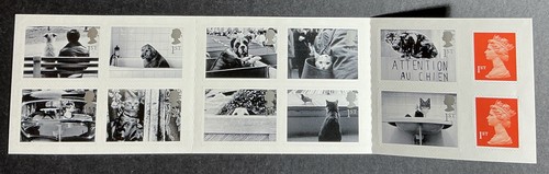2001 cats and - and, dogs
