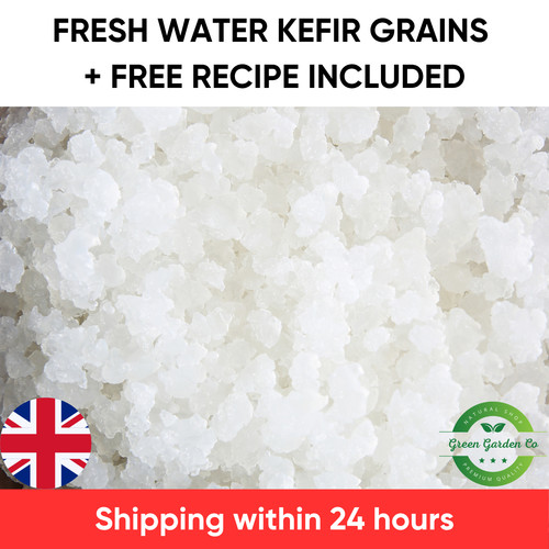 Fresh water kefir grains - kefir,