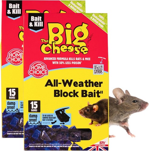 The big cheese all - the,