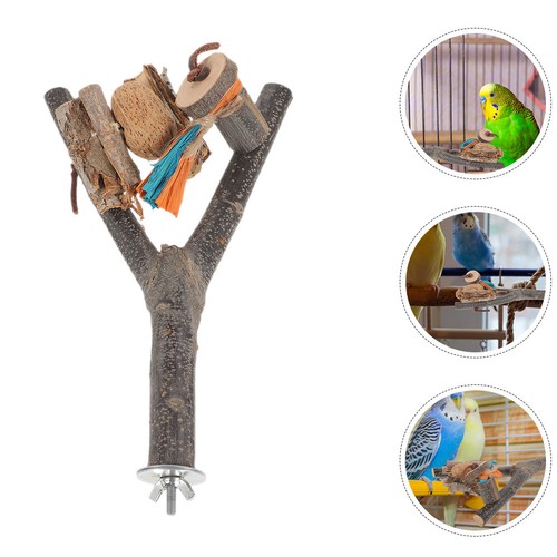 Large parrot perch bird - perch,