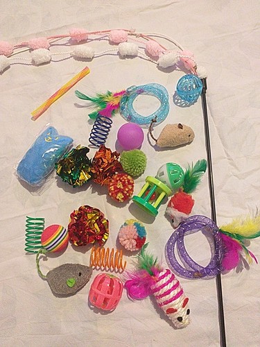 Cat toy bundle - 20, toys