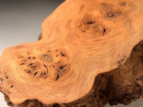 Cap burr elm live - live, resin