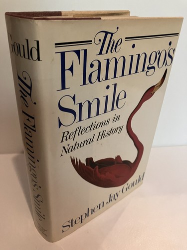 The flamingo smile - the,