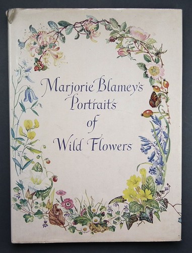 Portraits wild flowers - wild, by
