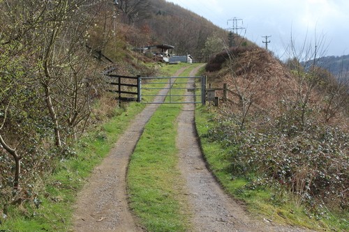 Photo 6x4 track - to, hillside