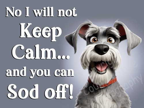 Schnauzer dog christmas - schnauzer, funny