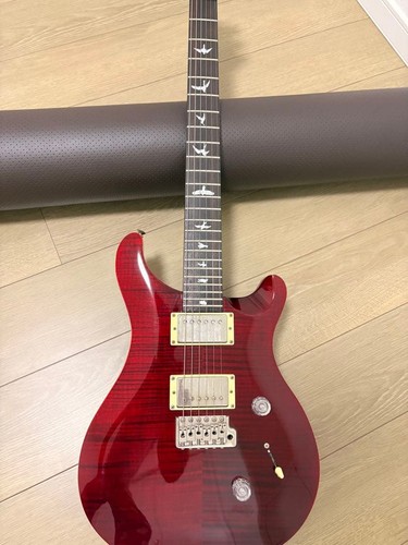 Prs custom electric - se,