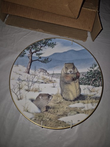 The woodland year peter - the,